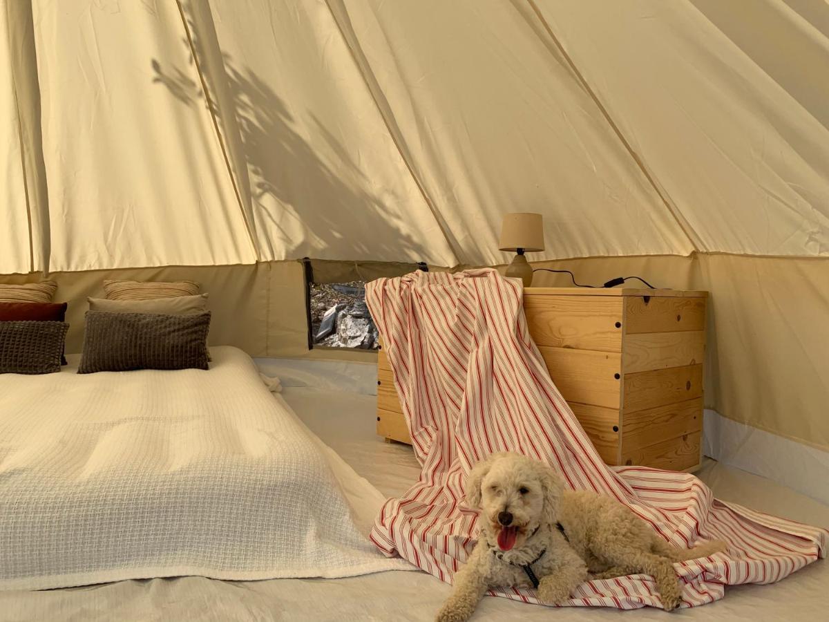 Готель Bigova Glamping Котор Екстер'єр фото